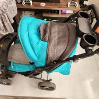 کالسکه دلیجان|کالسکه و لوازم جانبی|شیراز, سفیرشمالی|دیوار