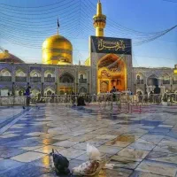 تور مشهد مقدس