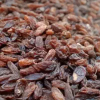 کشمش|خوردنی و آشامیدنی|نیشابور, جمهوری|دیوار