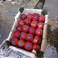 کارگر برای سیب چینی