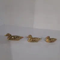 مرغابی برنز