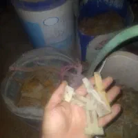 پین نرو ماده