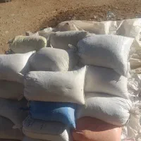 فضولات کود سوله ها کبوتر صحرایی