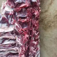 تخته کار . قصاب . سیخ زن|استخدام خدمات فروشگاه و رستوران|رشت, تازه آباد|دیوار