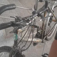 دوچرخه المپیا اصل امریکا