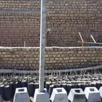 پایه فنس بتنی تیرچه داربست انگور ایستاده دور باغ