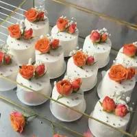 سفارش کیک تولد و فینگرفود