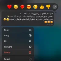 معلم خصوصی زبان انگلیسی|خدمات آموزشی|مشهد, گوهرشاد|دیوار