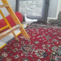 کفتر