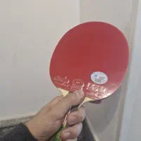 فروش انواع لوازم پینگپنگ با قیمت مناسب