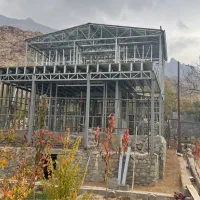 نیروی ال اس اف کار