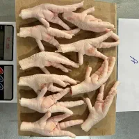 فروش پای مرغ ((الایش))سنگدان