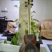تار حرفه ای مناسب اجرا دست نوازنده و بسیار ایده آل|سازهای سنتی|شهریار, کردزار|دیوار
