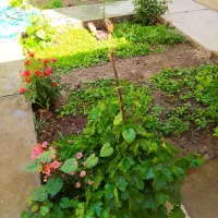 اجاره سوئیت با پارکینگ و حیاط|اجارهٔ کوتاهمدت آپارتمان و سوئیت|خوانسار, |دیوار