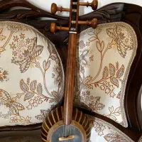 کمانچه همایون|سازهای سنتی|شاهرود, |دیوار