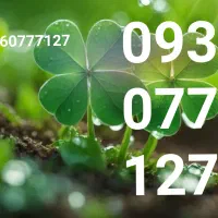 خط رند دائمی ایرانسل