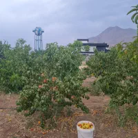 200تا 1600 متر باغ الهیه آبسرد