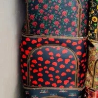 انواع ساک|کیف، کفش، کمربند|سنندج, |دیوار