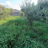 زمین-باغی-و-مسکونی-رستم-آباد