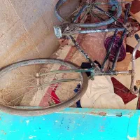 دو چرخه فنیکس|دوچرخه، اسکیت، اسکوتر|اهواز, کوی علوی|دیوار