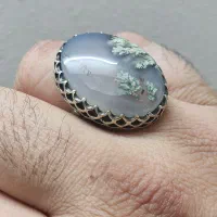 شجر با سنگ های معدنی -رکاب ورشو (نقره نیست)