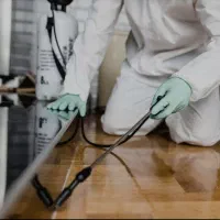 شرکت کنترل آفات پاک زیست