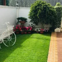 چمن مصنوعی به قیمت درب کارخانه فقط سه روز|گل مصنوعی|خرمشهر, |دیوار