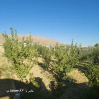 ۱۵۰۰ متر سند تک برگ نمای بیرون سنگ معاوضه با خودرو|فروش خانه و ویلا|ارژن, |دیوار