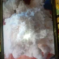 پنبه بالشتی وتشک|رختخواب، بالش، پتو|بجنورد, |دیوار