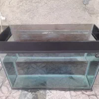 اکواریم با شیشه ۱۰ میل