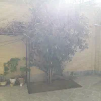 منزل ۲۱۱متری دودر۵مترتجاری برخیابان کهندژ، عالی|فروش خانه و ویلا|اصفهان, ولدان|دیوار