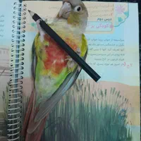 گرینچیک گمشده