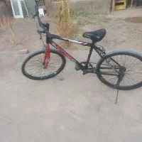 دوچرخه حرفه ای