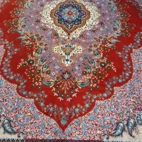 تعداد یه جفت ۱۲   جفت هم