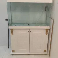اکواریوم