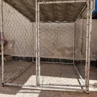 قفس مرغ خروس