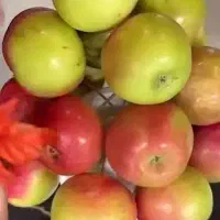 لطفا راهنمایی کنید