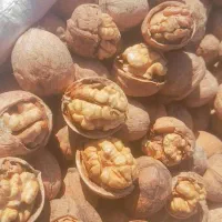 گردو خوشمزه