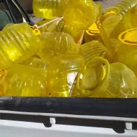 پت ۱۰ کیلویی