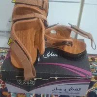 کفش|کیف، کفش، کمربند|قم, ولیعصر|دیوار