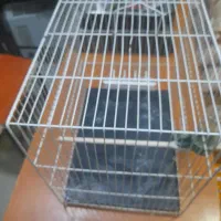 قفس|لوازم جانبی حیوانات|مشهد, هفده شهریور|دیوار