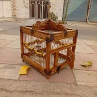 قفس چوبی طرقه