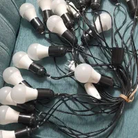 لامــپ هــفت رنـگ برای عــروسـی