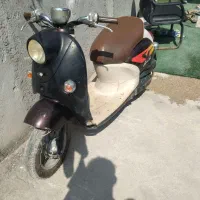 پاکشتی وینو