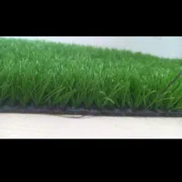 پخش چمن مصنوعی|گل مصنوعی|نجف‌آباد, حومه نجف آباد|دیوار