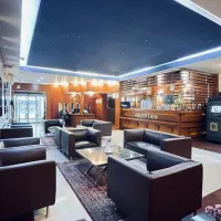 خانه دار هتل (خانم)