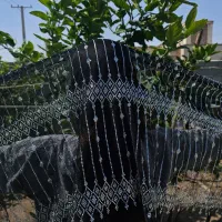شال چادر|لباس|بندرعباس, |دیوار