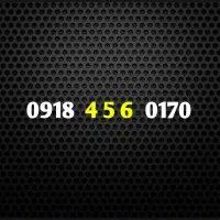 0918.371.85.65|سیم‌کارت|سنندج, |دیوار