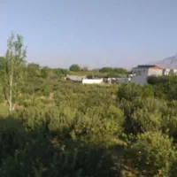 ۵۰۰متر جابان ۳برقانونی تک برگ . آب ، برق وگاز شهری