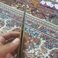 چاقو|کوهنوردی و کمپینگ|ایلام, |دیوار